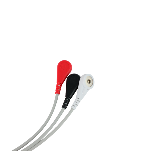 CABLE TRONCAL ECG U307-3K3SA - Imagen 2