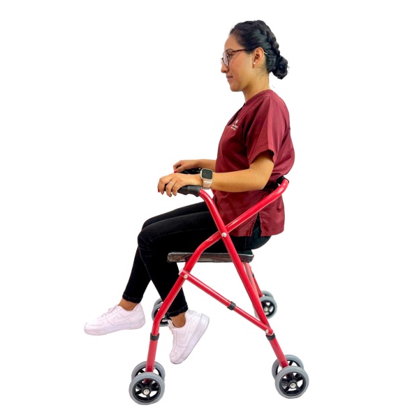 ANDADERA ROLLATOR MOD LH-ER17 - Imagen 4